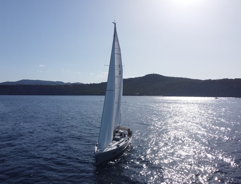 Lupo Di Mare