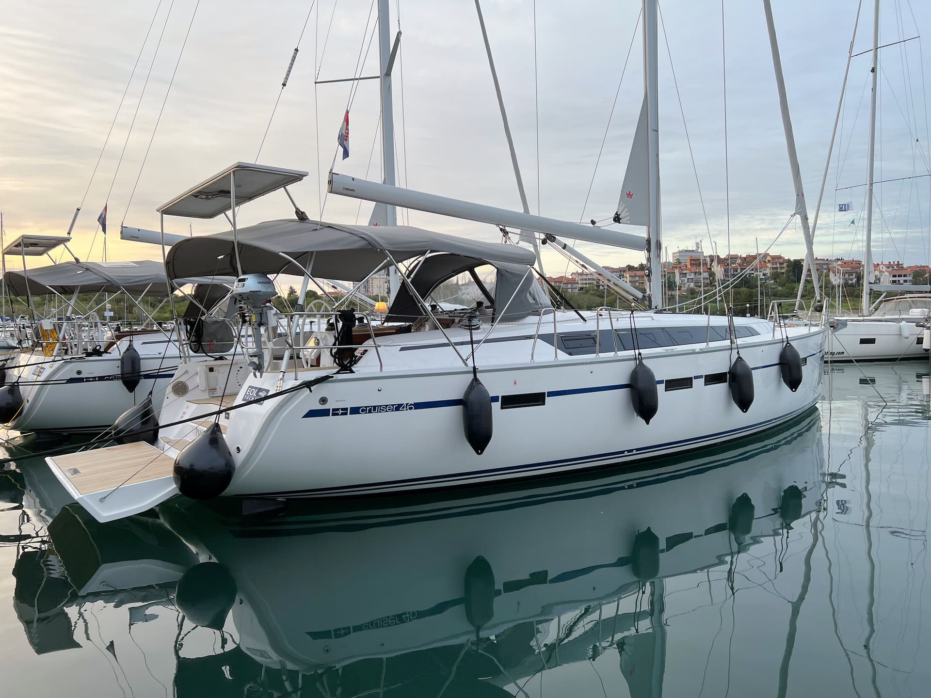 Panda IV